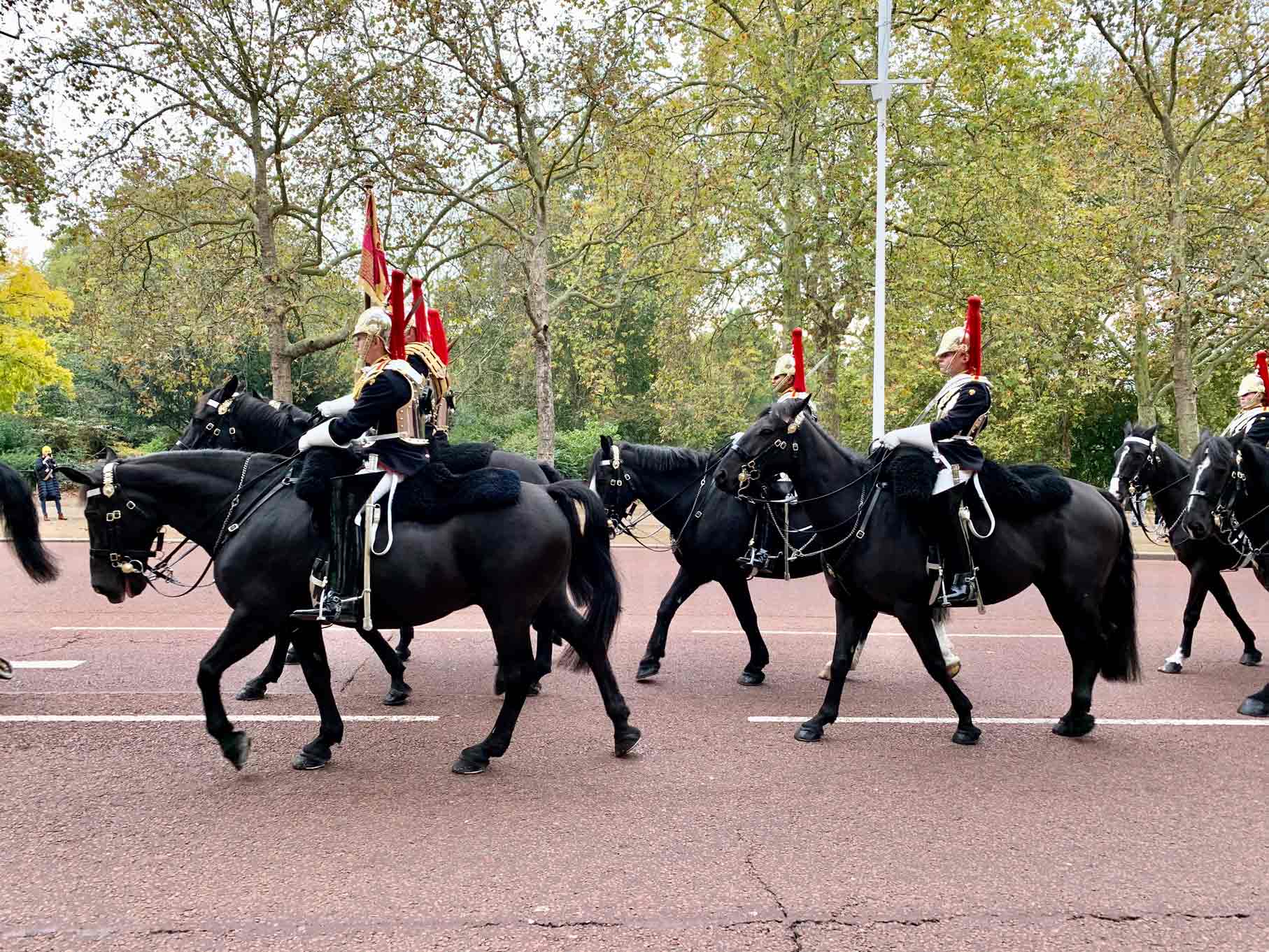 Changing of the Guard: Your Guide to Getting the Best Experience