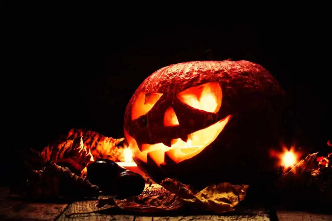 halloween pumpkin