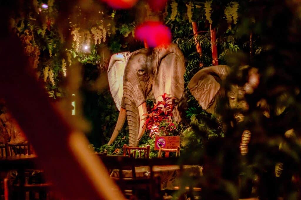 Rainforest Cafe