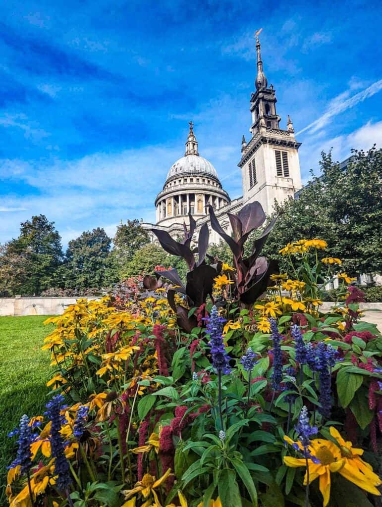 st pauls cathedral flowers