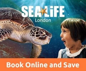 Sea Life