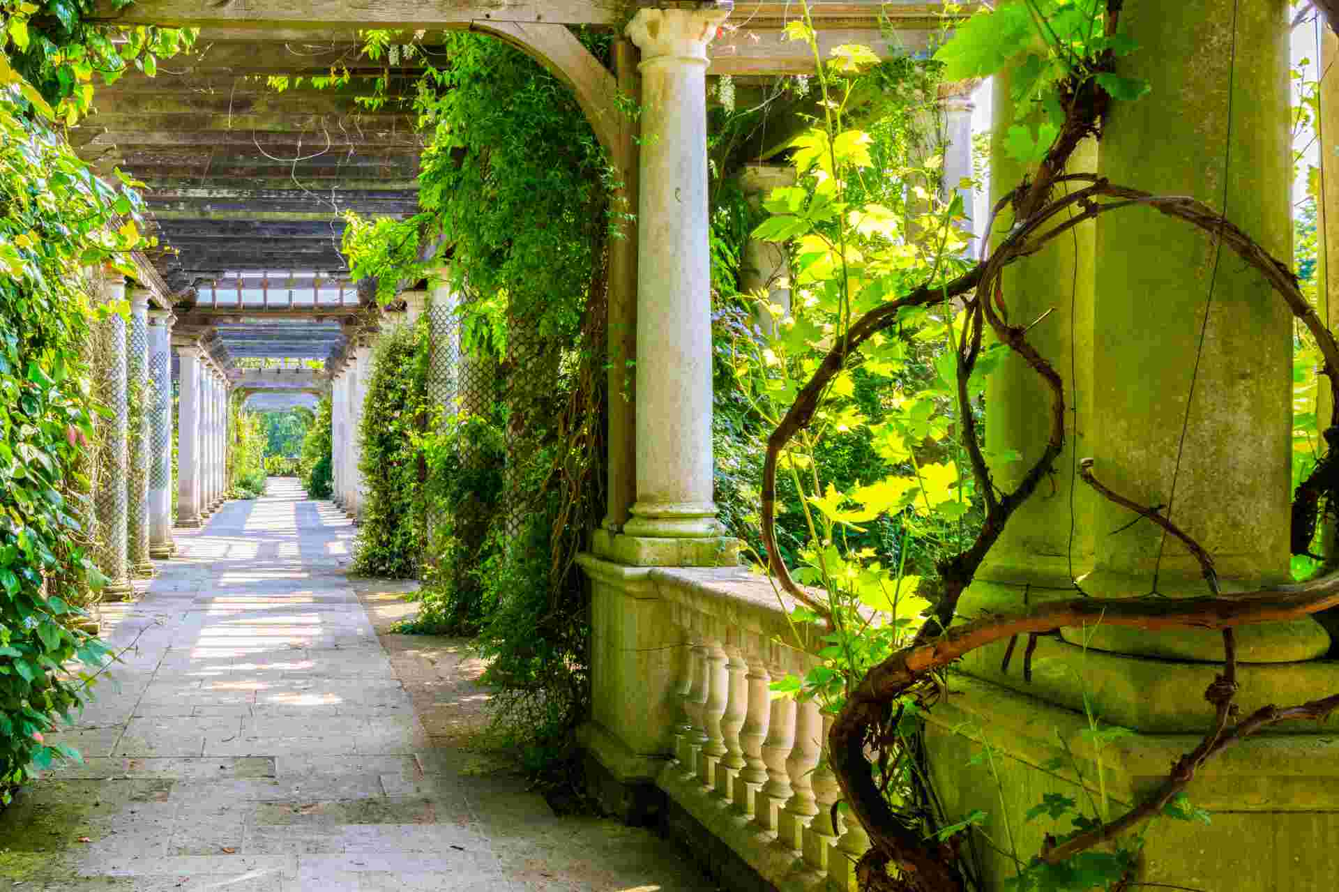 Hill Garden And Pergola